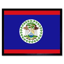 Belize National Flag World Flags Country Poster Framed Art Picture Print 12x16