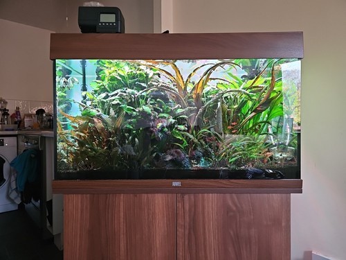 Juwel rio 125 led aquarium - led,