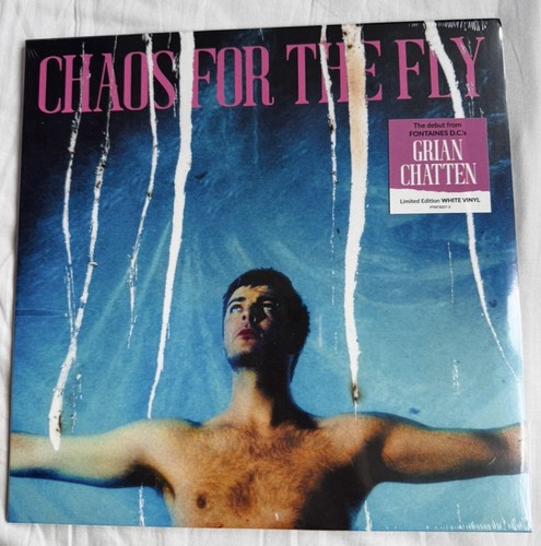 Grian chatten chaos - chaos, the