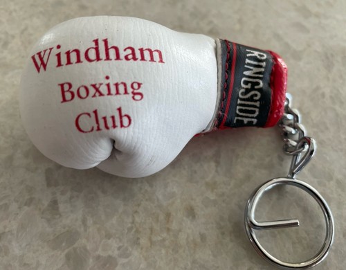 Vintage 1990s ringside boxing - vintage,