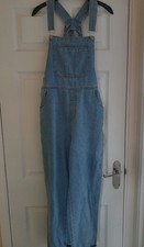Denim Dungarees