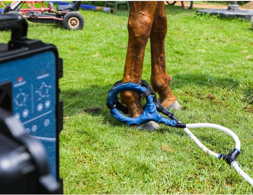 Horse pemf pmst loop - horse,