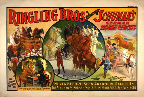 Circus horses retro vintage - retro,