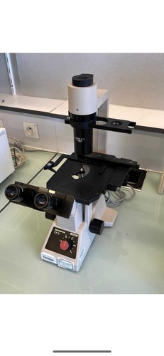 Olympus ck2 inverted - ck2,