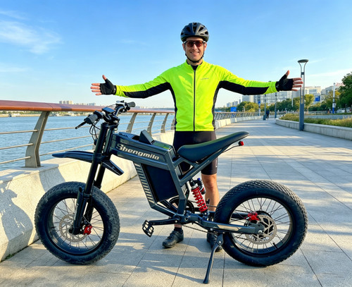 60v 30ah electric bike - 30ah, 20''