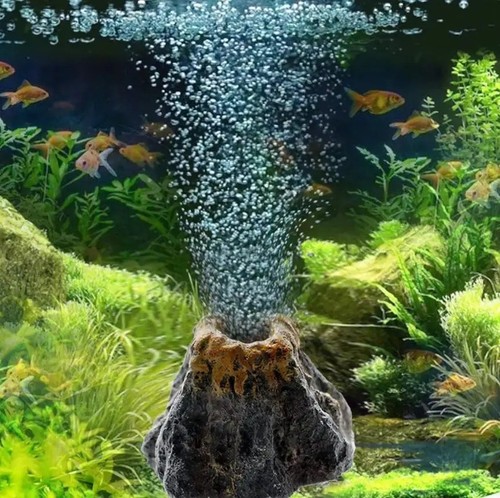 Aquarium oxygen pump air - oxygen,