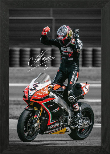Max biaggi motorcycle framed - max,