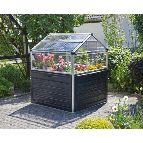 Palram canopia plant - palram,