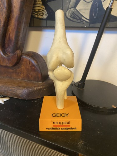 Geigy rengasil anatomical knee - anatomical,