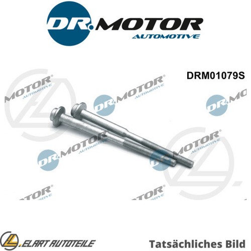 Bolt injector holder for - bolt,