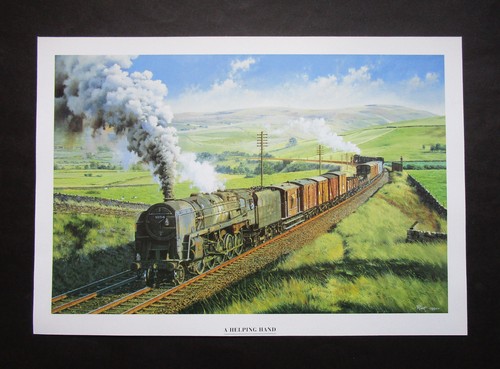 00 malcolm root - 11.50",