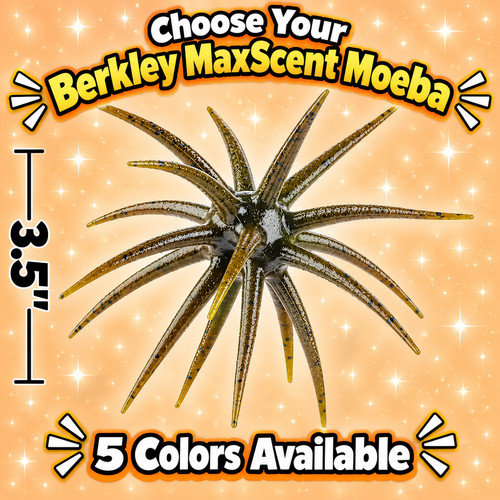 Berkley powerbait maxscent - powerbait,