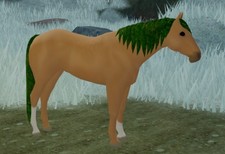 Wild Horse Islands RC Palomino