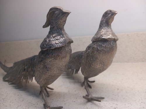 Pair pheasants - of,