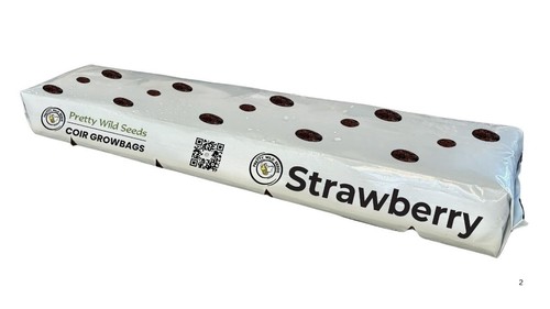 Strawberry cocopeat growbags - growbags, |