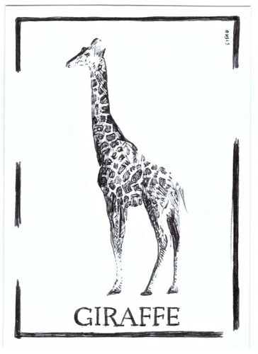 Aceo art sketch card animal - card,