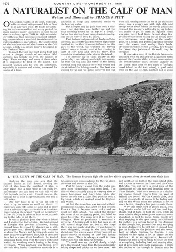 1950 naturalist the calf - 1950, on