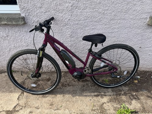 Ridgeback open frame hybrid - ridgeback, x2
