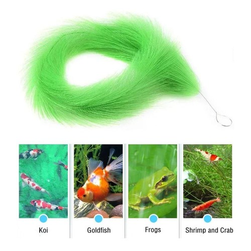 Mute fish spawning - mute-fish, breeding