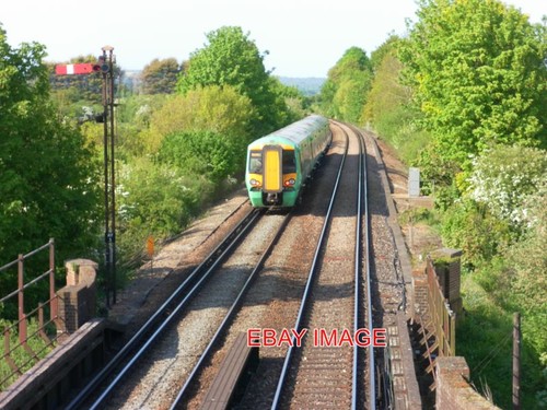 Photo southern emu - photo,