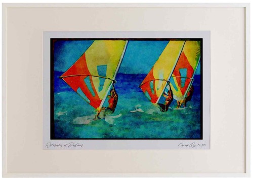 Sailing 339082 neill - o'neill, cup