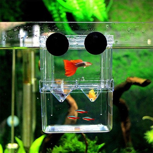 1pc incubator hatchery - 1pc,