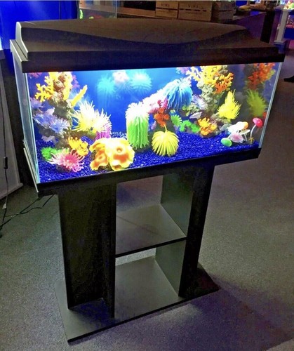Large aquarium optional - aquarium, &