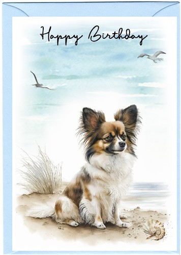 Papillon butterfly dog x - papillon,