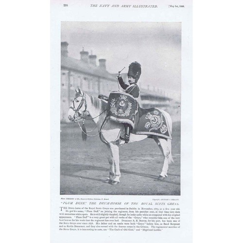The drum horse - the, royal