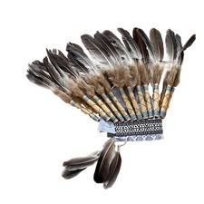 American Chief Indian Native