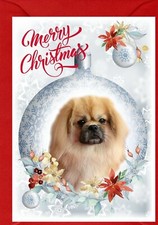 Tibetan Spaniel Dog A6 (4" x