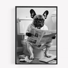 Funny bathroom french bulldog