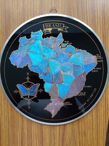 Vintage brazilian real - vintage,
