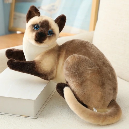 Realistic siamese american - realistic,