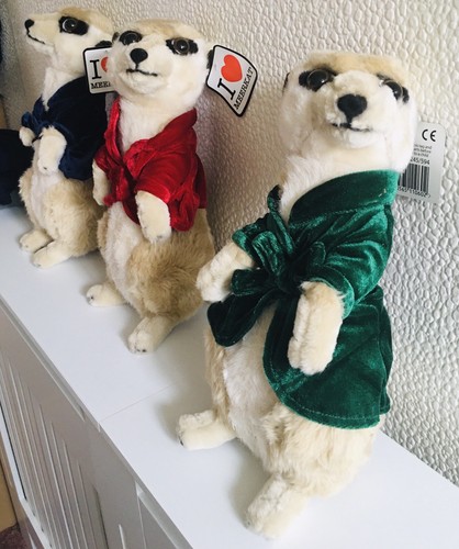 Meerkat pms uk - 💙, •