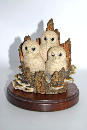 Border fine arts owl - border,