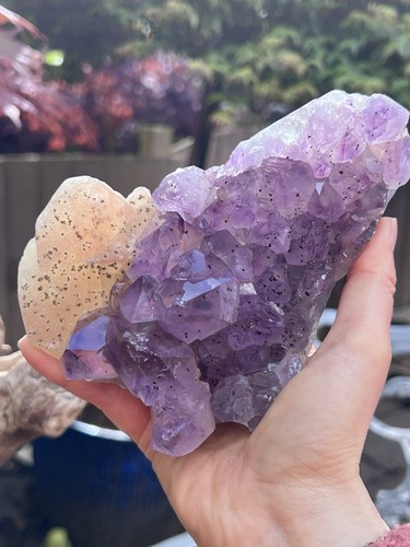 Amethyst large geode - large, cluster