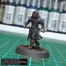 Masked rogue assassin fantasy - masked,