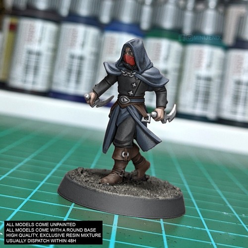 Masked rogue assassin fantasy - rogue,