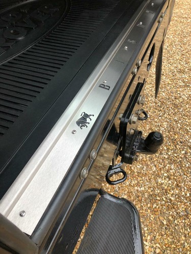 Stainless bison rear door - bison,