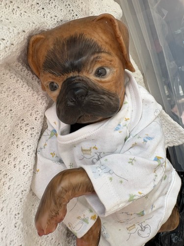 Reborn pug vinyl doll - reborn,