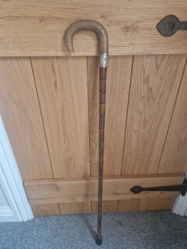 Antique walking stick horn - antique,