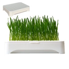 Hydroponic Cat Grass Planter