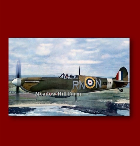 Fridge magnet raf spitfire - spitfire, ww2