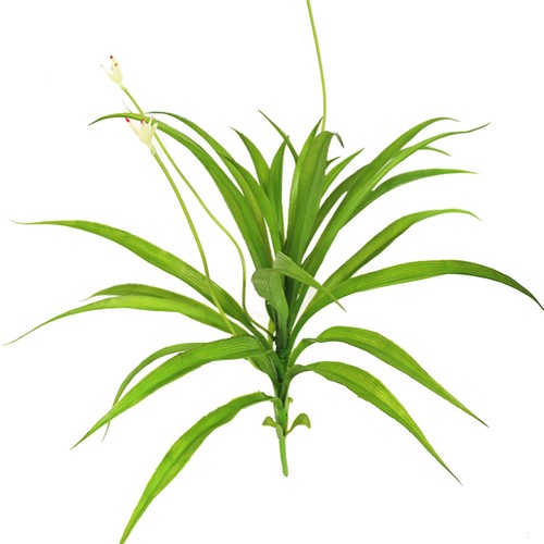 Home decor leaf - home,