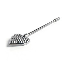 Metal BDSM Cane Spiked