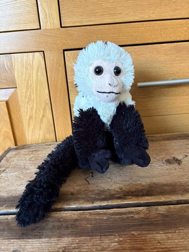 Capuchin monkey soft teddy - monkey,