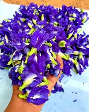 Pure Natural Sun Dried