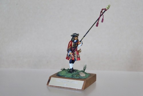 Rose miniatures stadden - rose,