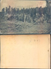 Hop picking scene Agriculture Community Life